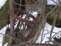 014 Szabolcsi Ljosné